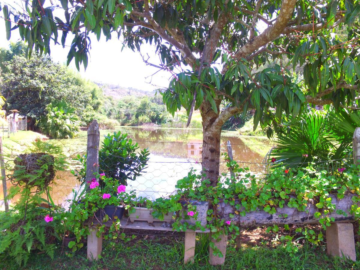 Pousada Caminho Das Flores Vitória Dış mekan fotoğraf